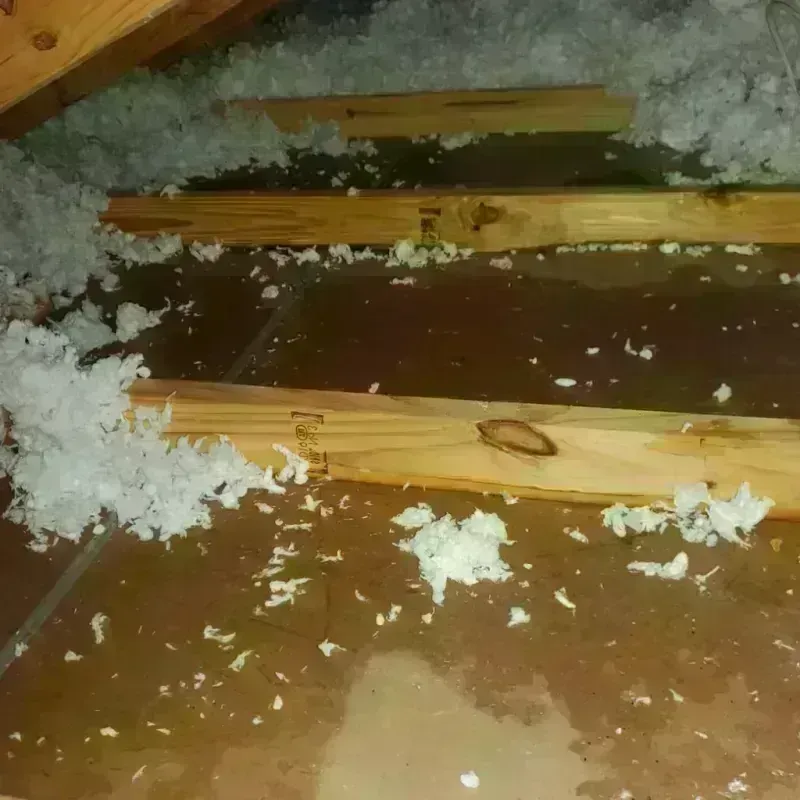 Attic Water Damage in Miami, AZ