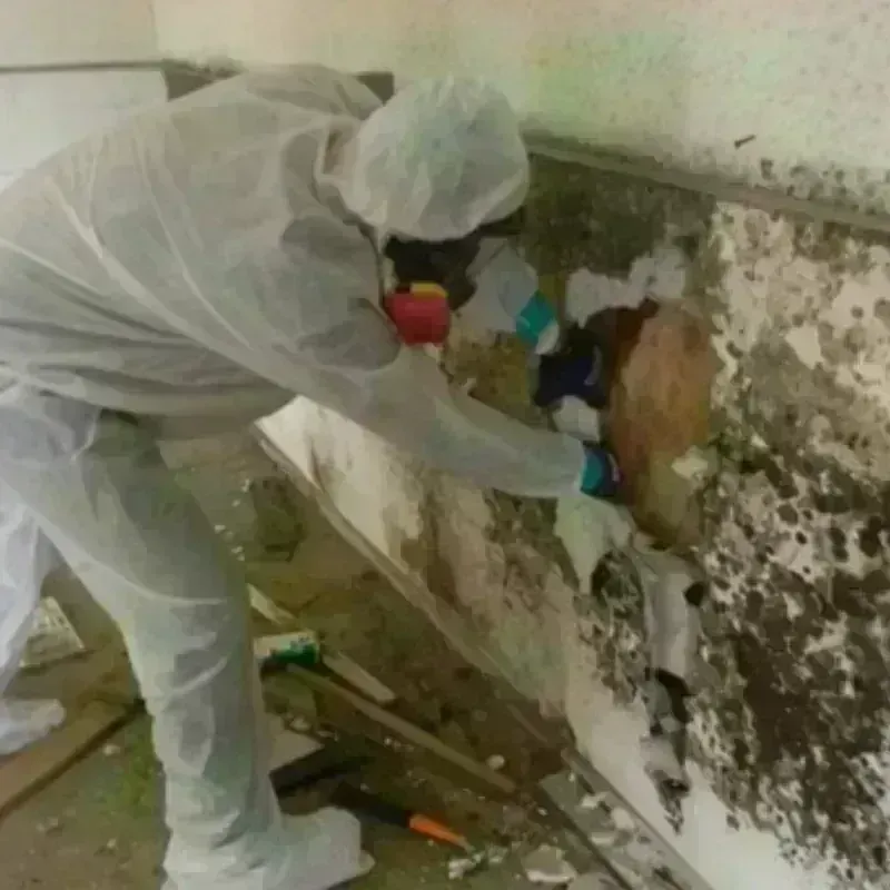 Mold Remediation and Removal in Miami, AZ